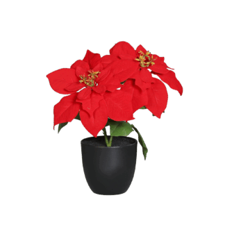 Künstliche Poinsettia - Cady | 32 cm, im Topf*