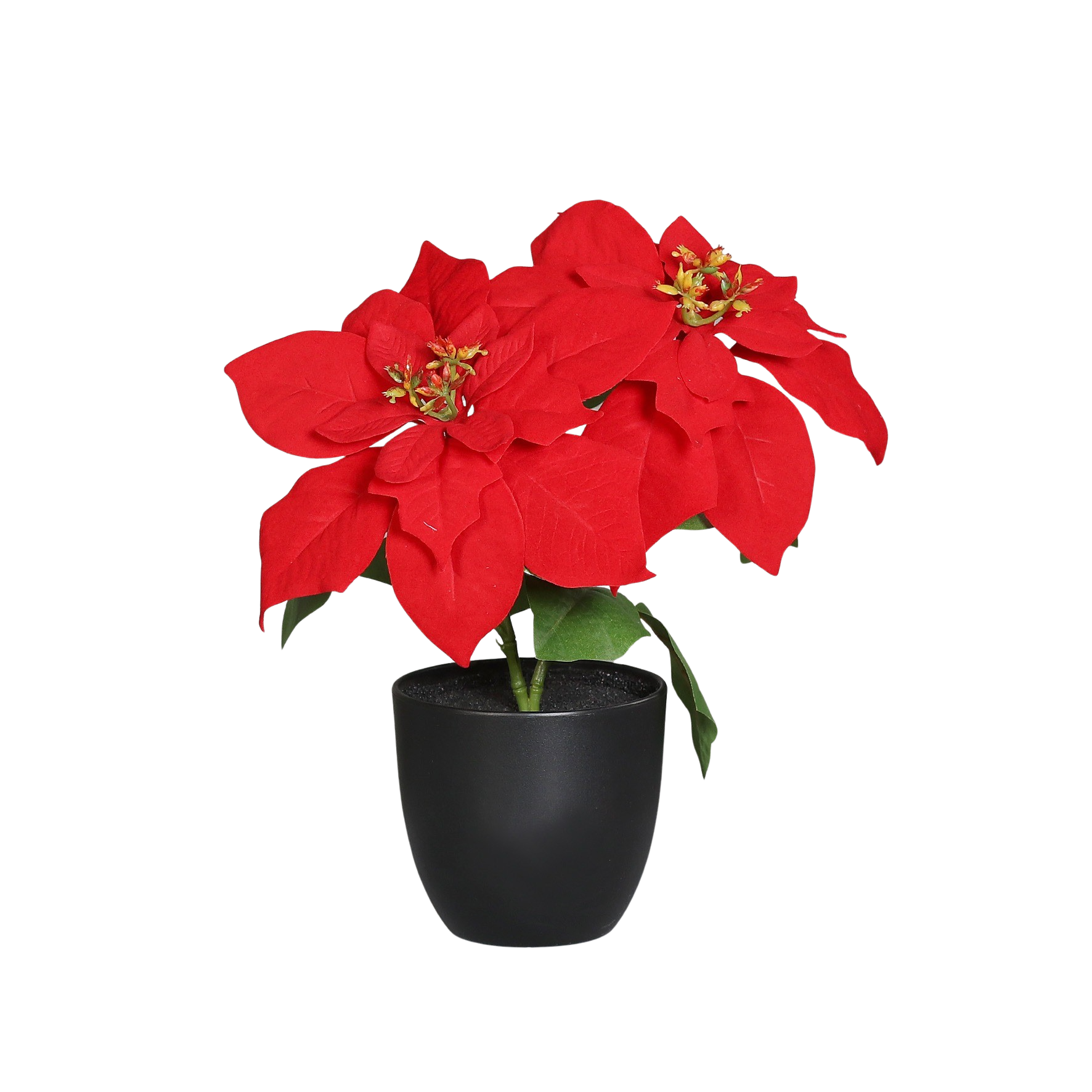 Künstliche Poinsettia - Cady | 32 cm, im Topf*